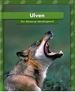 Ulven