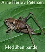 Med åben pande