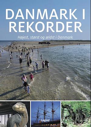 Danmark i rekorder