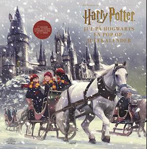 Billede af Harry Potter julekalender bog