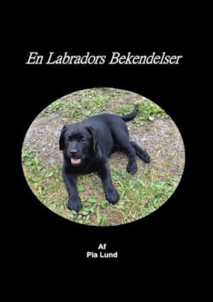 En labradors bekendelser