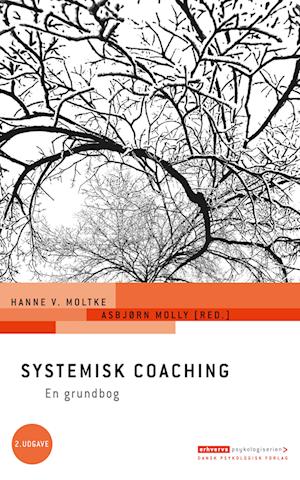 Systemisk coaching, 2. udgave