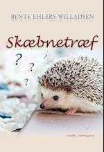 Skæbnetræf