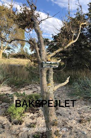 Bakspejlet