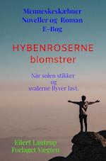 Hybenroserne blomstrer