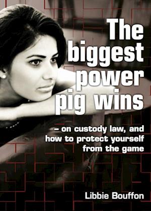 The biggest power pig wins - on custody law, and how to protect yourself from the game