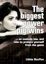 The biggest power pig wins - on custody law, and how to protect yourself from the game