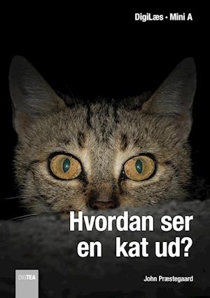 Hvordan ser en kat ud?