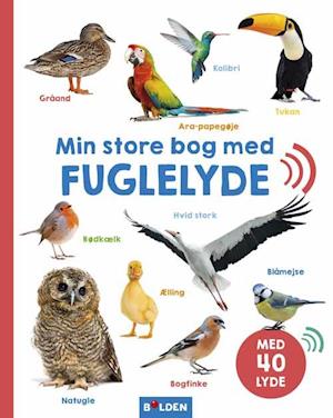 Min store bog med fuglelyde