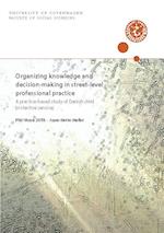 Organizing knowledge and decision-making in street-level professional practice 