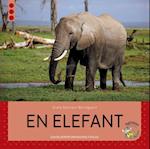 En elefant