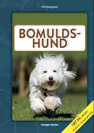 Bomuldshund