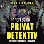 Profession: privatdetektiv