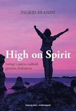 High on Spirit – Indsigt i sjælens indhold gennem chakraerne 