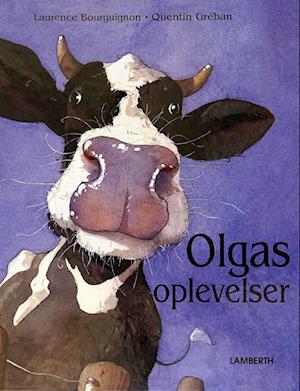 Olgas oplevelser