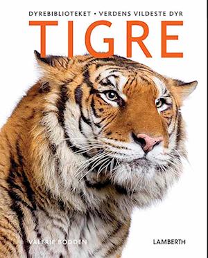 Tigre