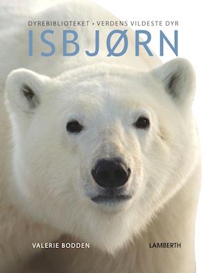 Isbjørn