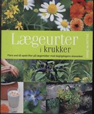 Lægeurter i krukker