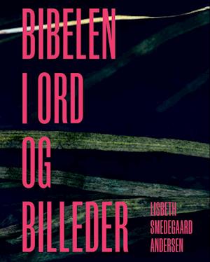 Bibelen i ord og billeder-Lisbeth Smedegaard Andersen-Bog