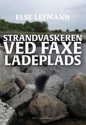 Strandvaskeren ved Faxe Ladeplads