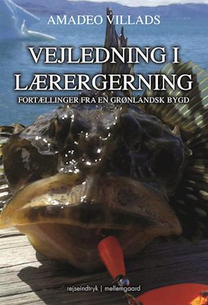 Vejledning i læregerning