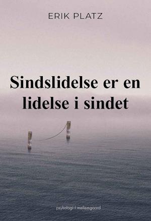 Sindslidelse er en lidelse i sindet