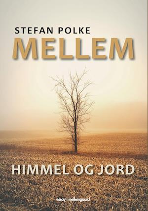 Mellem himmel og jord