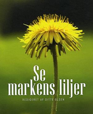 Se markens liljer