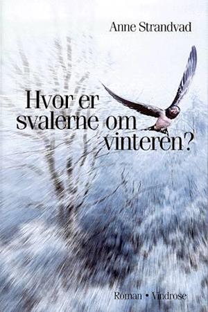 Hvor er svalerne om vinteren?