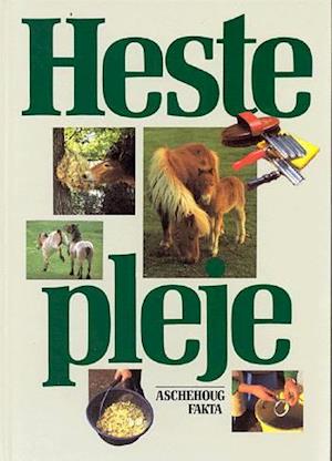 Hestepleje