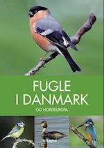 Fugle i Danmark