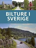 Bilture i Sverige