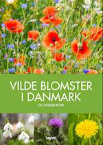 Vilde blomster i Danmark
