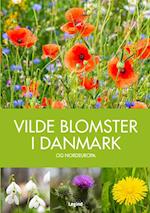 Vilde blomster i Danmark