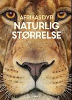 Afrikas dyr - i naturlig størrelse