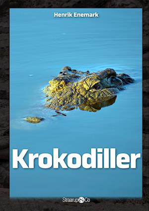 Krokodiller