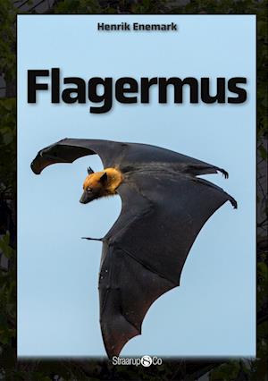 Flagermus