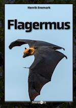 Flagermus