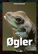 Øgler