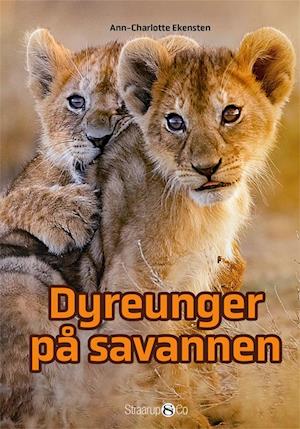 Dyreunger på savannen