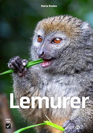 Lemurer