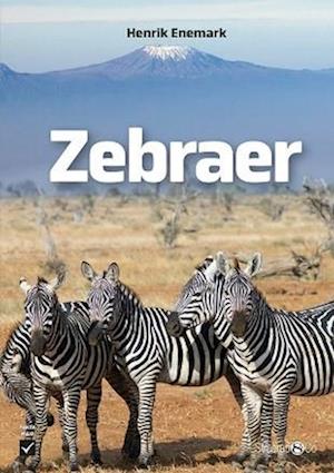 Zebraer