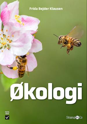 Økologi