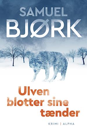 Ulven blotter sine tænder