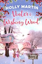 Vinter i Wishing Wood