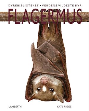 Flagermus