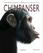 Chimpanser