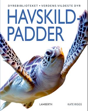 Havskildpadder