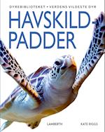 Havskildpadder