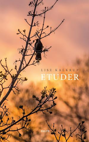 Etuder